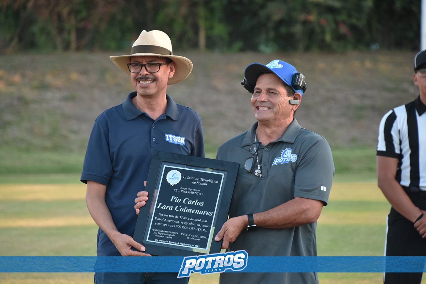 Reconocimiento couch pollo